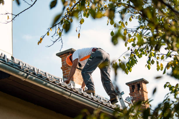 Quick and Trustworthy Emergency Roof Repair Services in Albany, OR